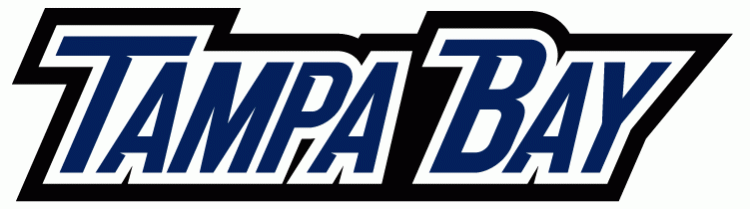 Tampa Bay Lightning 2007-2010 Wordmark Logo t shirts DIY iron ons